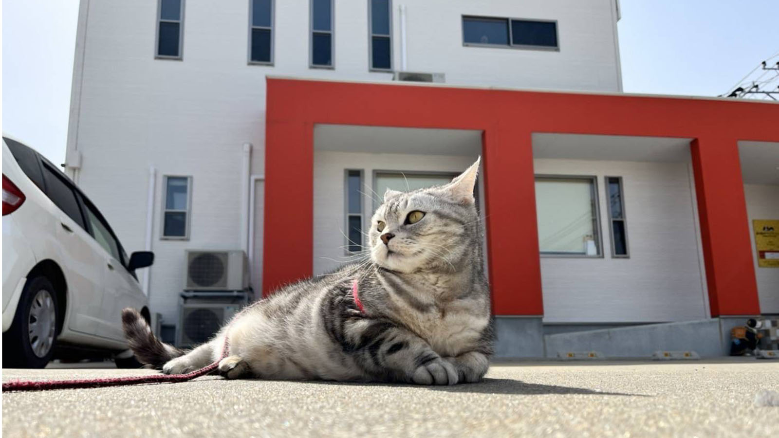 写真1