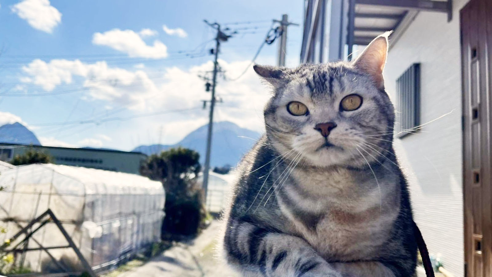 写真2