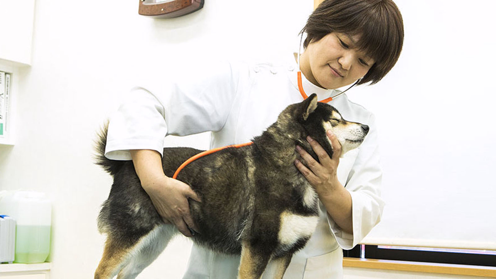 島原 有明ペットクリニック